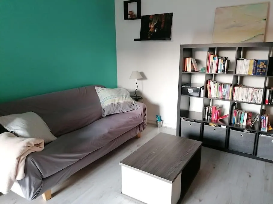 Appartement De Charme, Garage, Terrasse, Piscine Lyon France