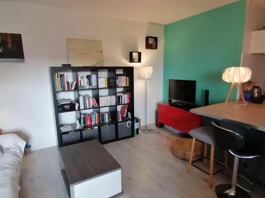 Appartement De Charme, Garage, Terrasse, Piscine Lyon 0*,  France