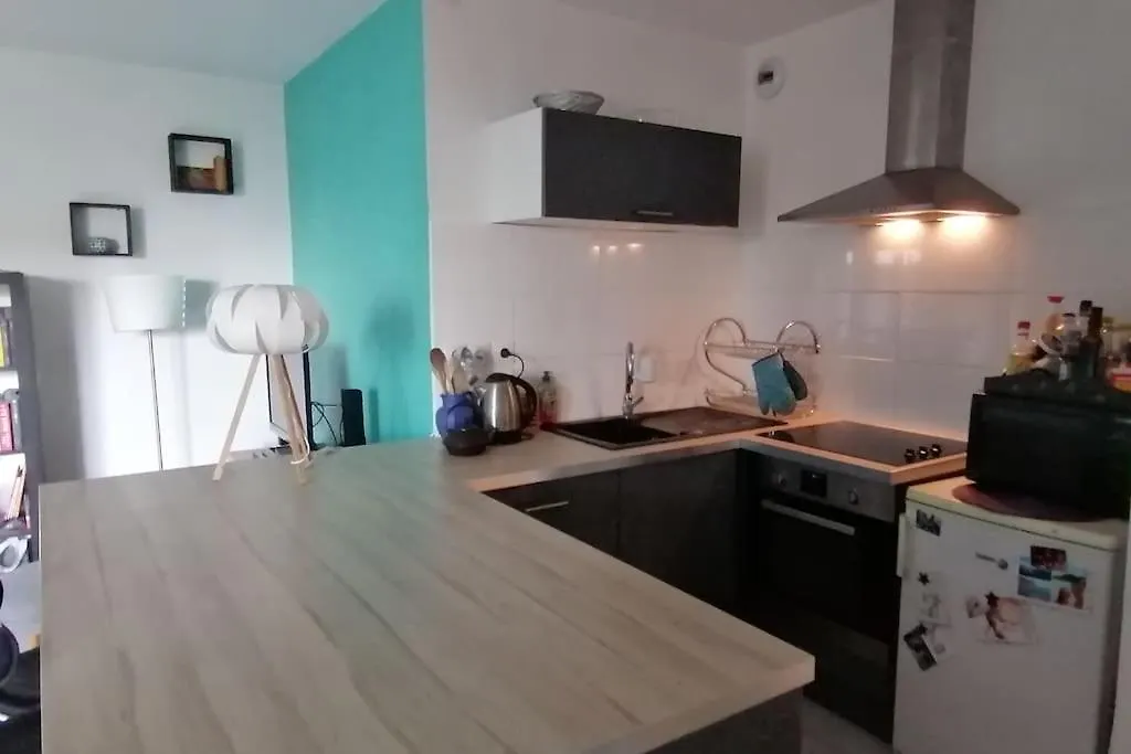 Apartament Appartement De Charme, Garage, Terrasse, Piscine Lyon