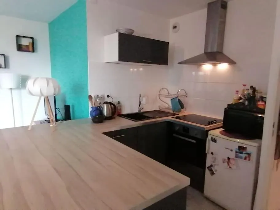 Appartement De Charme, Garage, Terrasse, Piscine Lyon 0*,