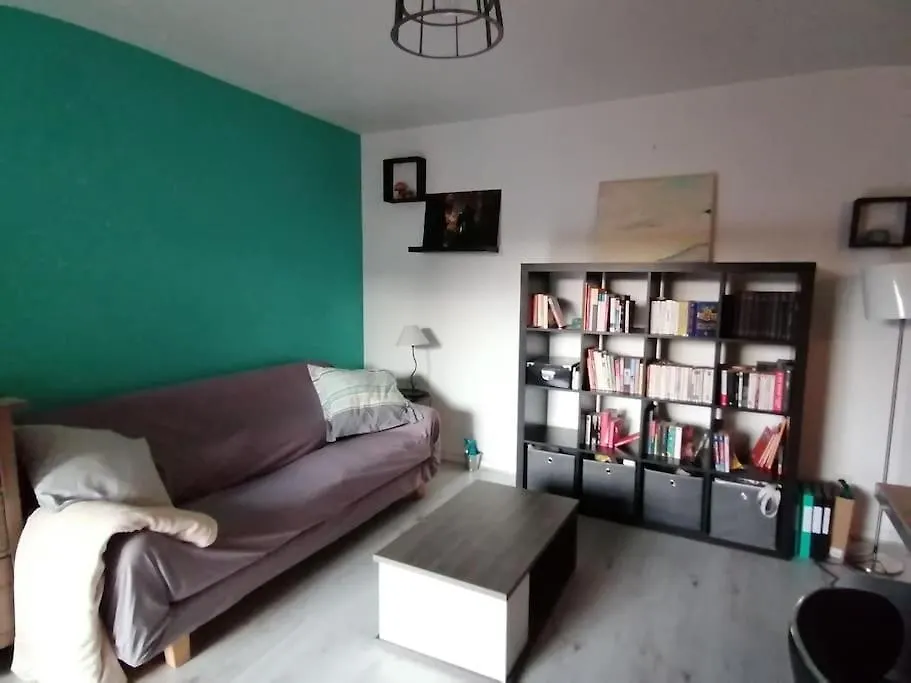 Appartement De Charme, Garage, Terrasse, Piscine Lyon Apartament